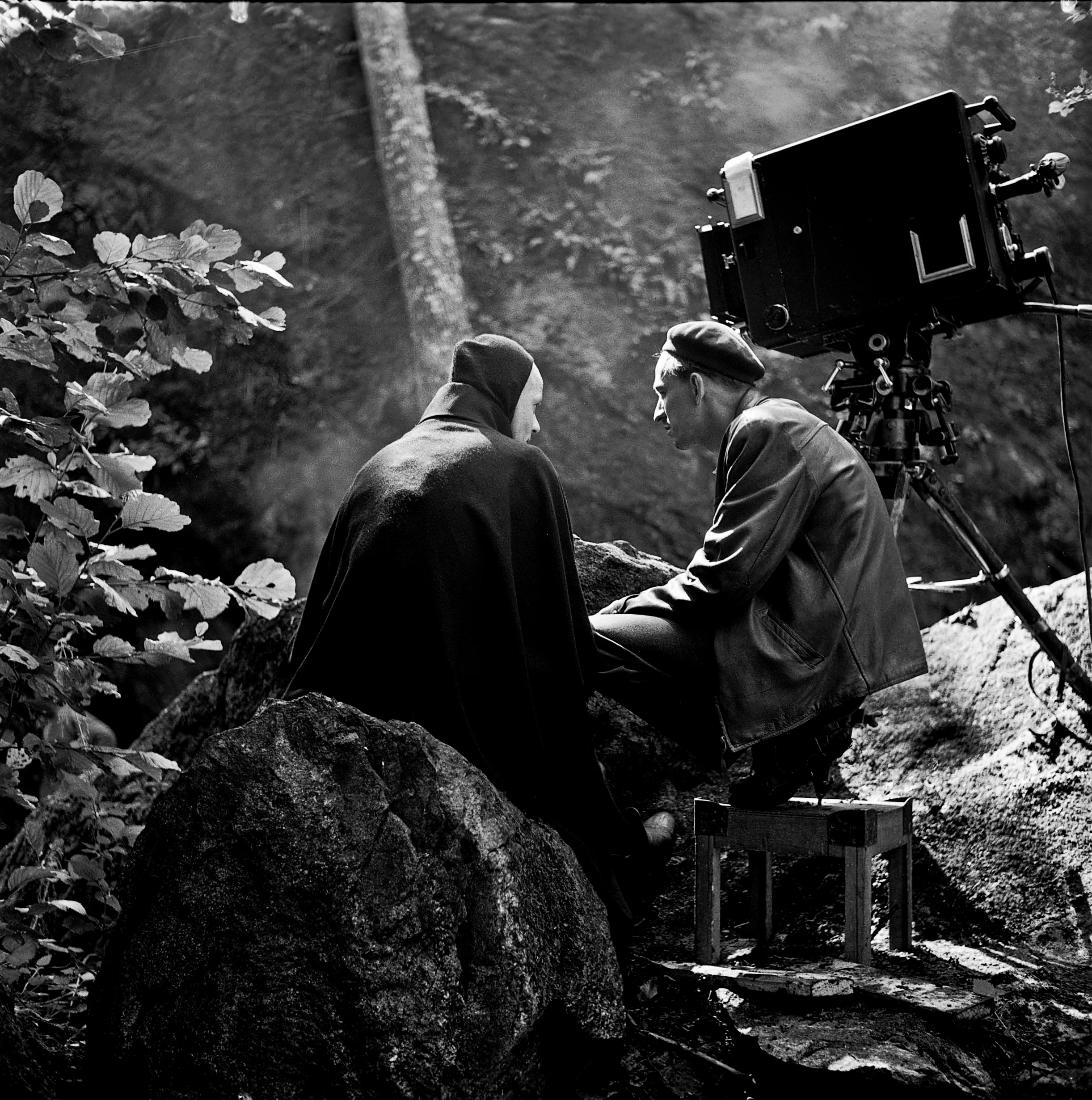Bergman, une année dans une vie de Jane Magnusson - Image 4