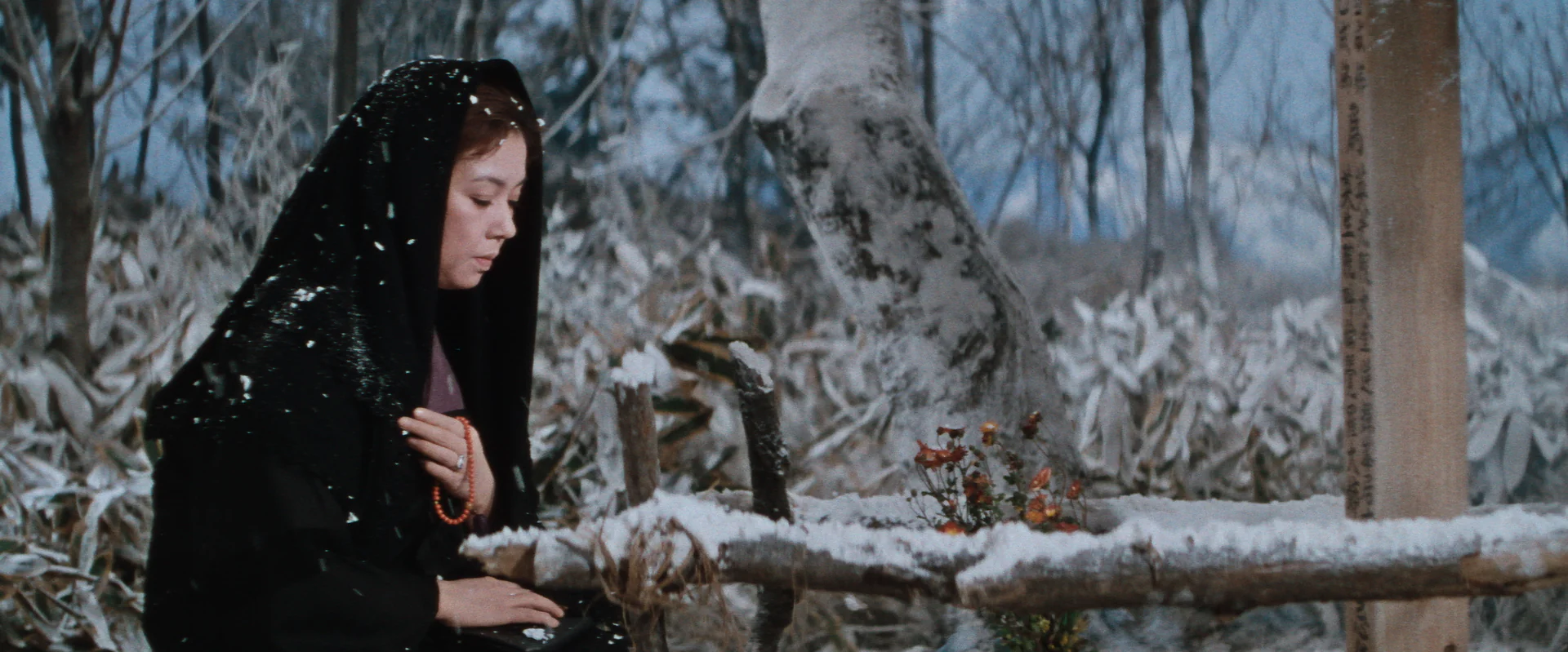 Coffret Kinuyo Tanaka en 6 films - Image 8