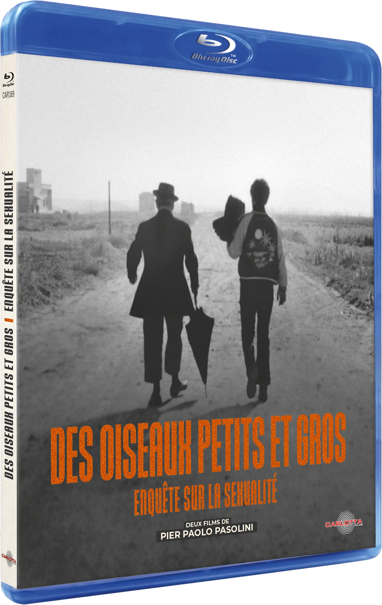 Des oiseaux petits et gros + Enquête sur la sexualité de Pier Paolo Pasolini