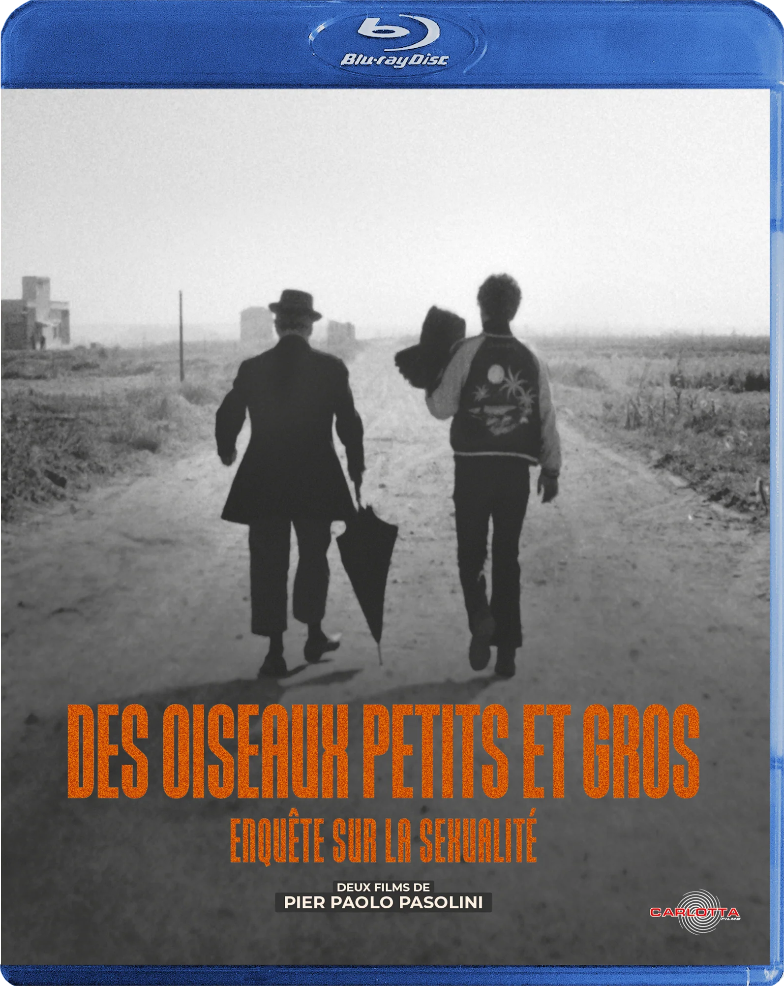 Des oiseaux petits et gros + Enquête sur la sexualité de Pier Paolo Pasolini - Image 2