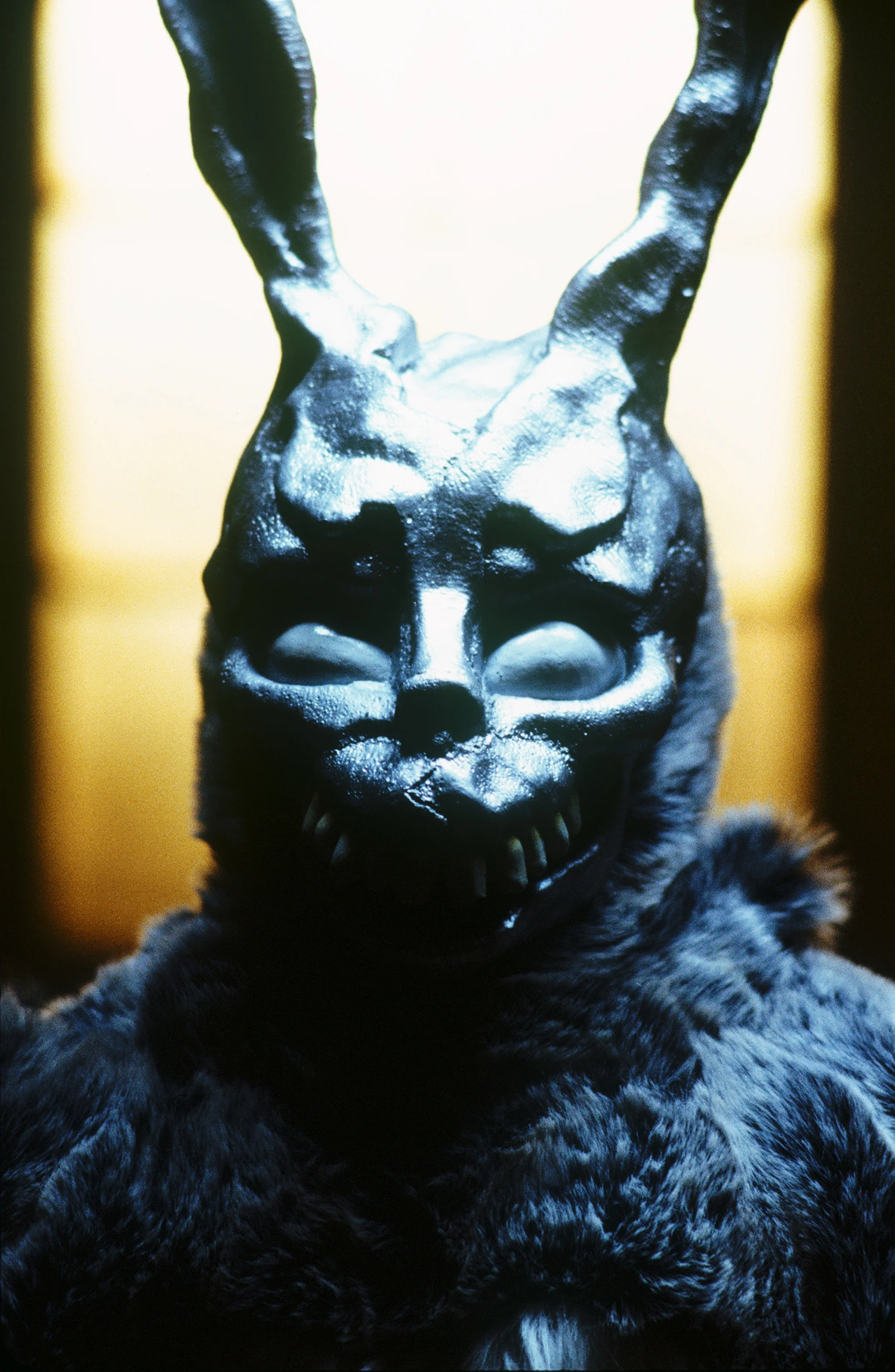 Donnie Darko de Richard Kelly - Image 3